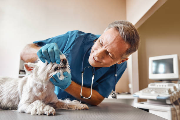 Best Broken Tooth Emergency  in Wrightsville, GA